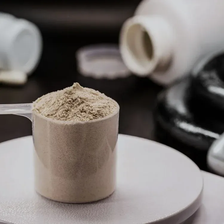 A scoop of finely milled freeze-dried bovine powder